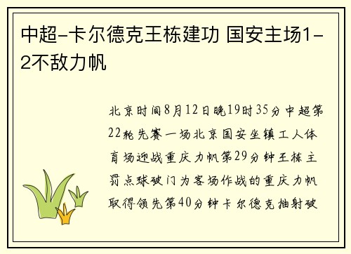 中超-卡尔德克王栋建功 国安主场1-2不敌力帆
